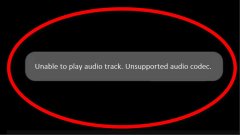 Audio Codec Not Supported