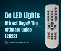 do led lights attract bugs