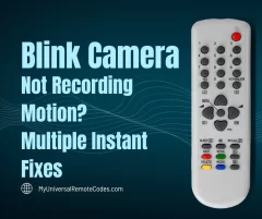 Blink Camera Not Recording Motion