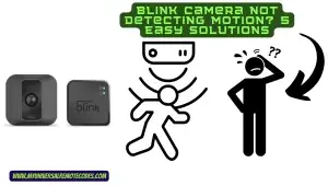 Blink Camera Not Detecting Motion