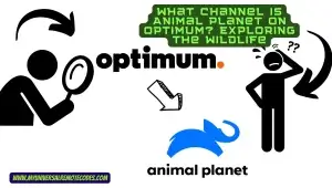 What Channel is Animal Planet on Optimum