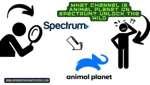 What Channel is Animal Planet on Spectrum